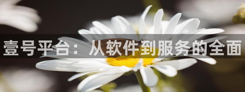 超凡国际体育代理申请流程：壹号平台：从软件到服务的全面