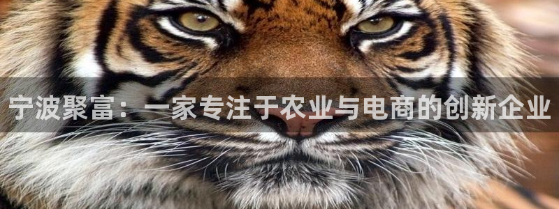超凡国际平台：宁波聚富：一家专注于农业与电商的创新企业