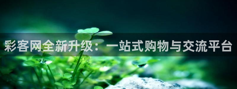 超凡国际平台注册：彩客网全新升级：一站式购物与交流平台